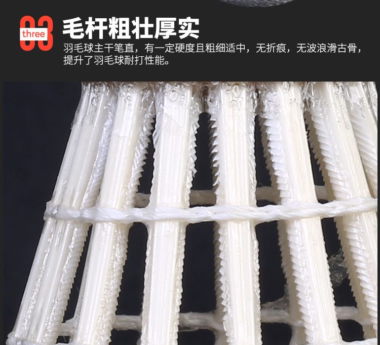 https://uriwin.com/data/upload/shop/store/goods/12/1010124-f4.jpg