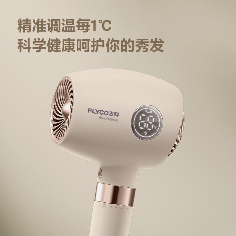 飞科/FLYCO 电吹风 FH6369 4档 负离子1600W